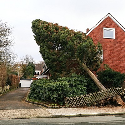 Sturmschadenbeseitigung